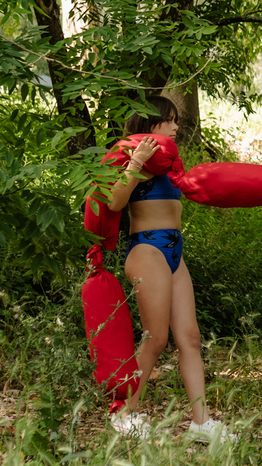 Swallows Bikini